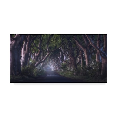 Trademark Fine Art